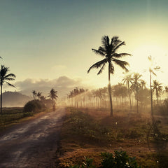 Pivoting with Purpose: Meeting Community Needs During COVID-19